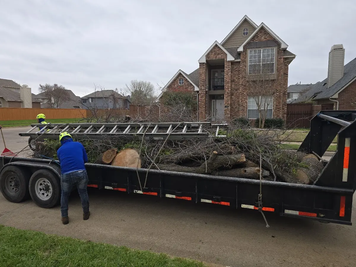 Expert Crown Reduction with proper safety equipment in New Creek